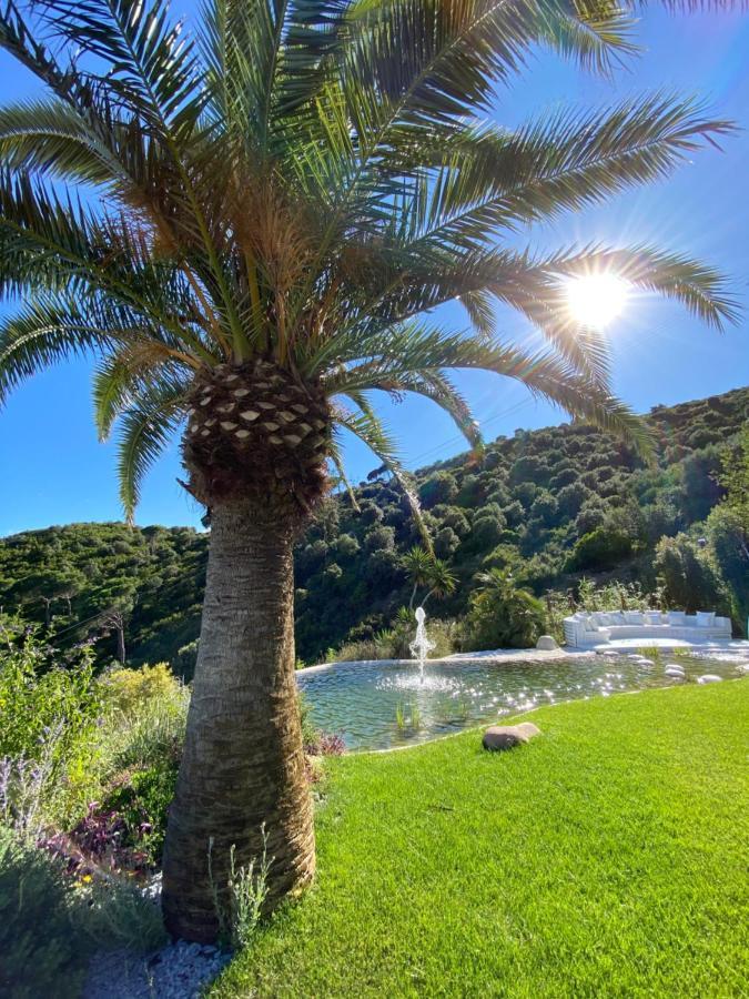 Ibiza Style Barcelona Luxury Villa Бадалона Экстерьер фото